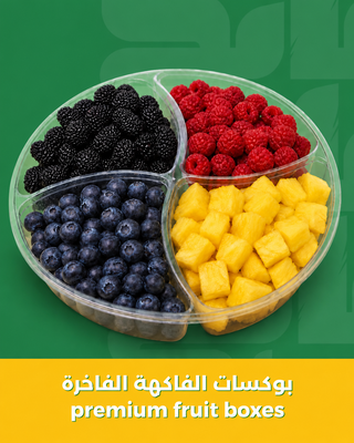بوكسات الفور سيزون